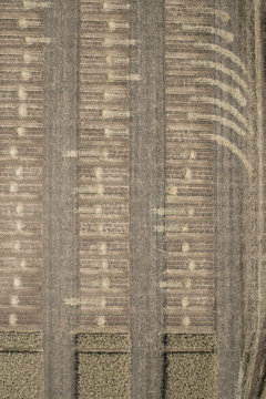 Full frame aerial view of crops in agricultural landscape, Stuttgart, Baden-Wuerttemberg, Germany