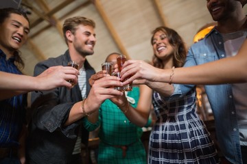 Friends toasting shot glasses in bar