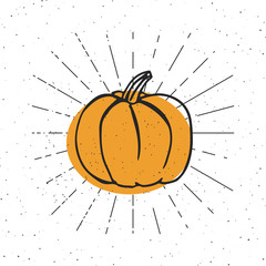 Vector illustration of pumpkin. Happy Halloween concept. Vintage rays. Vegan food