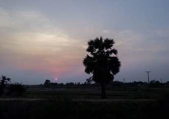 Fototapeta na wymiar Sunset behind the field