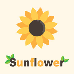 cartoon sunflower with text vector