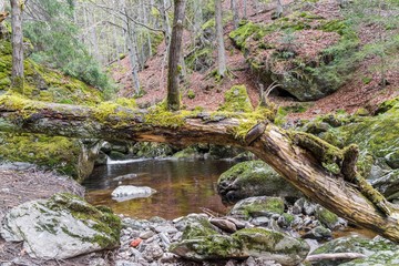 Steinklamm in Spiegelau im Bayerischen Wald