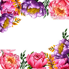 Wildflower peony flower frame in a watercolor style isolated.