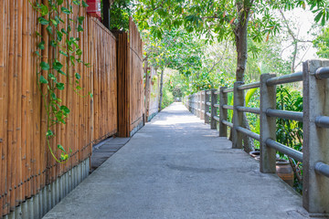 Fototapeta premium Way for walking or cycling there are bamboo walls and fences in the garden.