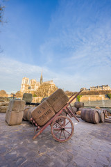 Fototapeta na wymiar Docks of Notre Dame Cathedral in Paris