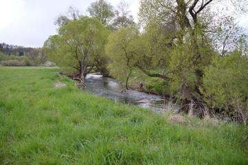 Wilder Bach