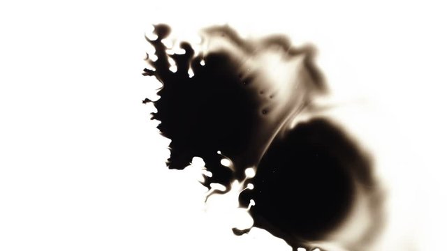 Ink Blot. Ink splashes. Drops. Bleeds. Spot. This video with alpha channel.  Can be used for logo or transition background.