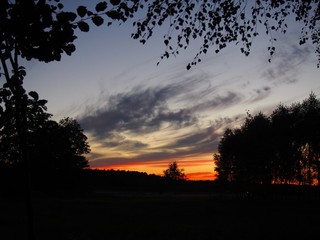 Fototapeta premium OLYMPUS DIGITAL CAMERA