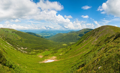 Naklejka premium Summer mountain meadow panorama
