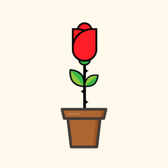 red rose in a flowerpot