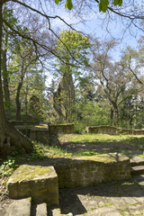 World Heritage ruins of the Disibod monastery on the Disibodenberg, Home of Saint Hildegard of Bingen.