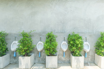 White urinals separate by green tree in a public outdoor restroom. Copy spare