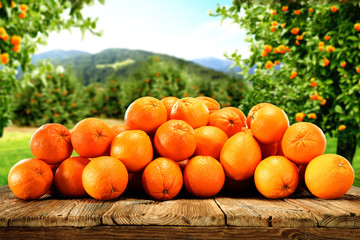 orange fruits 