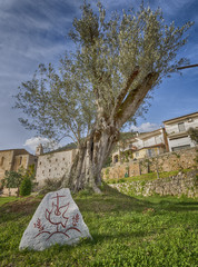 San Magno Abbey Fondi Italy