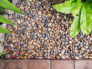 stone garden