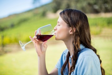 Fototapeta premium Side view of woman drinking red wine
