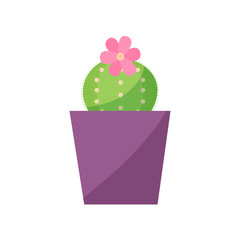Cactus icon for web. Flat style.