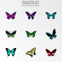 Fototapeta na wymiar Realistic Demophoon, Checkerspot, Purple Monarch And Other Vector Elements. Set Of Beauty Realistic Symbols Also Includes Sky, Violet, Tiger Objects.