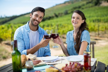 Portrait of smiling couple toasting red wine glasses 