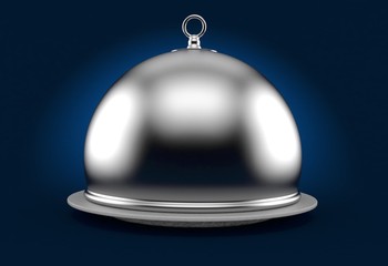 Silver catering dome