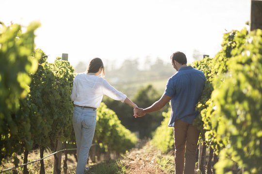 Rear view of couple holding hands at vineyard