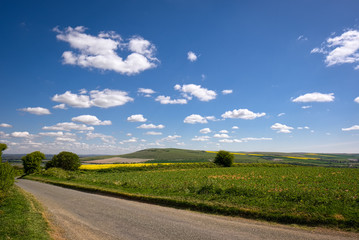 Fototapeta na wymiar Road through the Rolling Sussex Countryside
