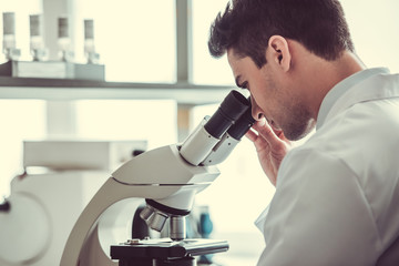 Handsome doctor in laboratory