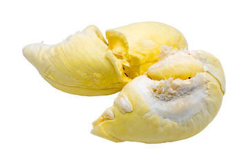  durian fruit isolated