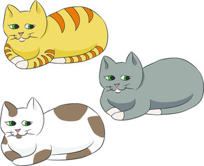 Nice and kind cat in three suits: кed, spotty and dark.