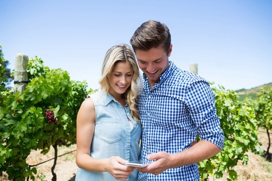 Happy couple using mobile phone at vineyard
