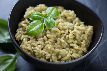 Close-up of risotto with spinach in a black bowl, selective focus, studio shot