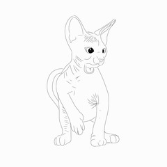 cat vector illustration