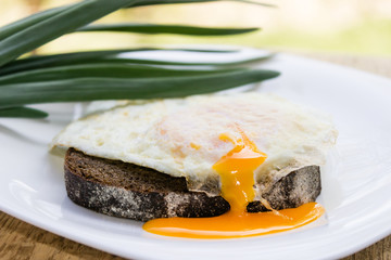 scrambled eggs on a slice of rye bread with the flowing yolk