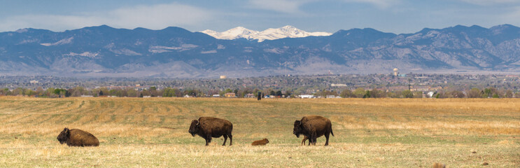 Colorado Panorama © Mike