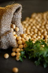 organic healthy grains soybean on dark background.