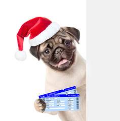 Puppy in red christmas hat peeking from behind empty board and holding airline tickets. isolated on white background