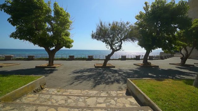Trees in Alghero seafront, Italy