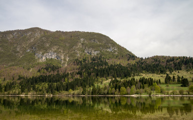 Fototapeta na wymiar Scenic glacier Bohinj lake and its green surrounding in Slovenia during spring time