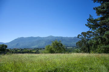 Asturian landscape 81