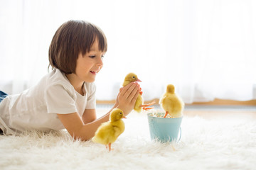 Cute little boy with duckling springtime, playing together
