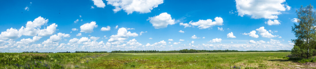 Fototapeta na wymiar A panoramic view of a field