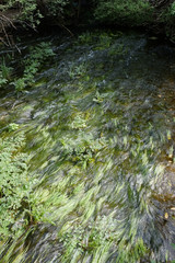River scenery in Fonte da Benemola. Loule, Algarve, Portugal