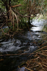 River scenery in Fonte da Benemola. Loule, Algarve, Portugal