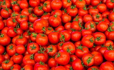 group of red tomatoes