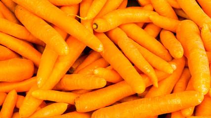 organic food carrot. background