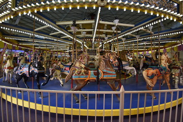 carousel built 1910  the organ is from 1923