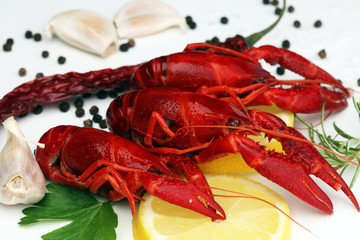 tasty boiled crawfish closeup on table, seafood dinner