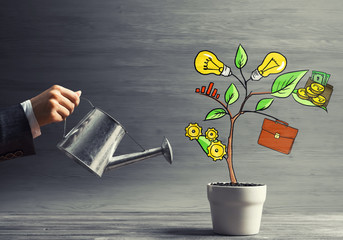 Drawn income tree in white pot for business investment savings and making money