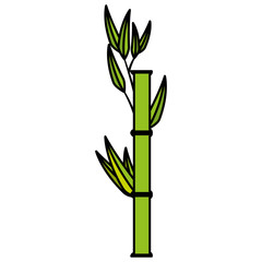 Bamboo japanese tree icon vector illustration graphic design