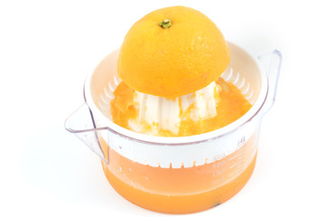 fresh orange juice